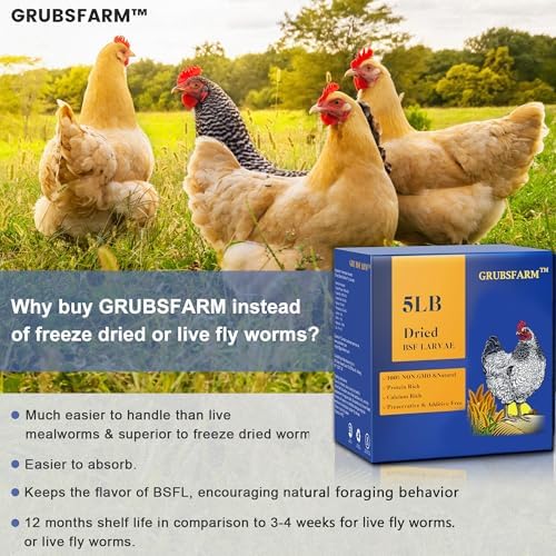 Superior to Dried Mealworms for Chickens 5lb - 85X More Calcium Than Mealworms - Non-GMO Chicken Feed - Molting Supplement - BSFL Treats for Hens, Ducks, Turkeys, Wild Birds, Quails