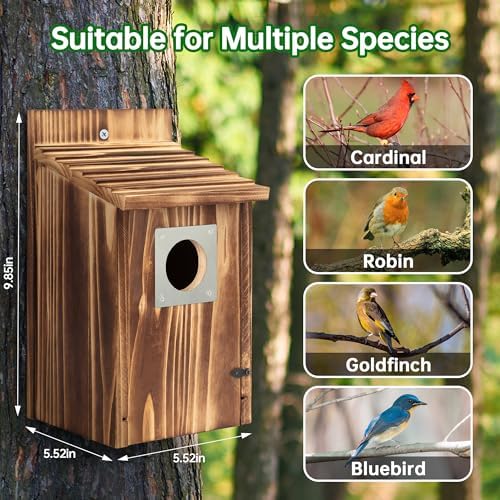 2 Pack Bird Houses for Outside with Metal Predator Guard for Bluebird Wren Swallow Finch, Carbonized Wooden Nesting Boxes for Outdoor, Sturdy Bird House,Easy to Clean