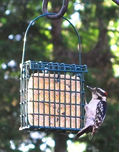 Suet Cake 12 Pack | Case of 12 Suet Cakes for Wild Birds (Woodpecker/Berry/High Energy/Peanut)