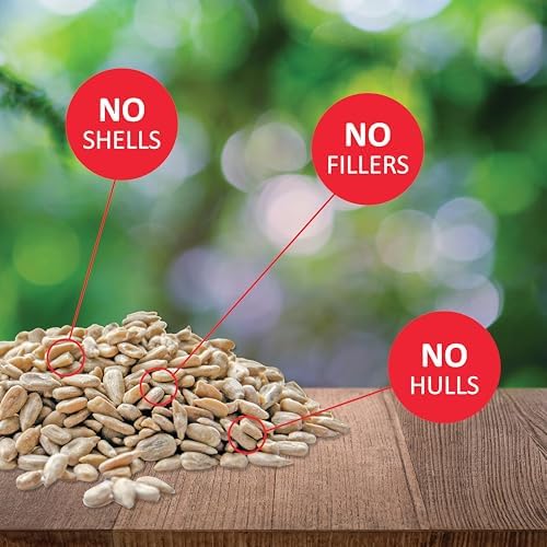 Lyric Sunflower Kernels Wild Bird Seed No Waste Bird Food - Attracts Finches & More - 10 lb. (Pack of 2-5 lb. Bags)