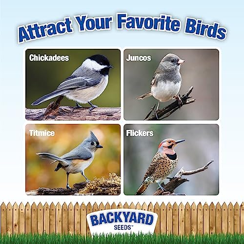 CountryMax Sunflower Chips Medium Sized Shelled No Waste Bird Seed