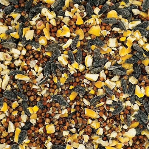 AMERICAN MELODY Wild Bird Feed - 50 Pound Bag