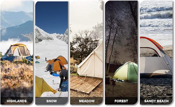 10 inch Tent Stakes Heavy Duty 12 PCS Camping Tent Stakes for Yard and Ground with Reflective Camping Ropes and Pegs Bag(Black)