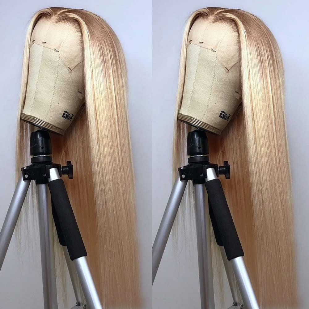 ANDRIA Lace Front Wigs Straight Hair Glueless Lace Wigs Synthetic Long Silk Straight Natural Wig Heat Resistant Fiber Ombre Dirty Blonde Colorful Wig With Baby Hair For Black Women 24 Inches