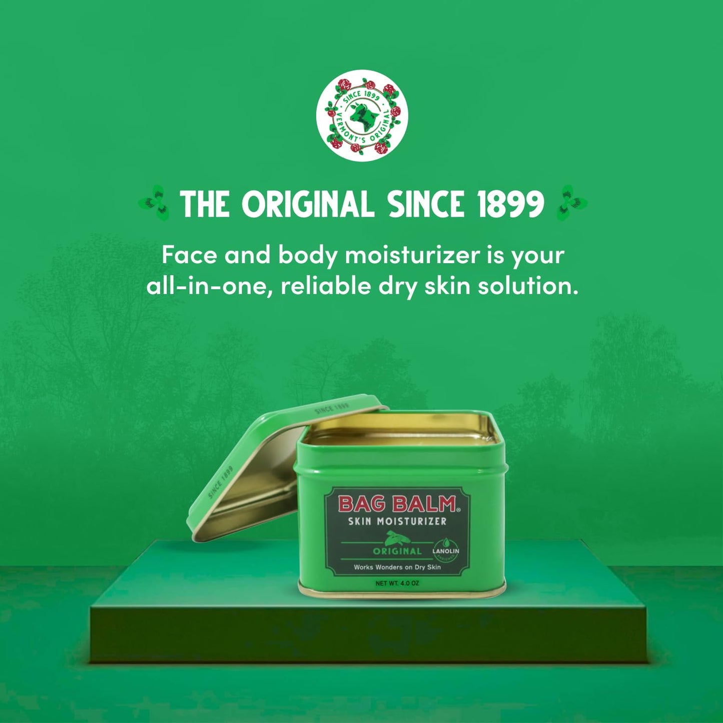 Bag Balm Vermont's Original for Dry Chapped Skin Conditions - Hand & Body (4 Ounce (Pack of 3))