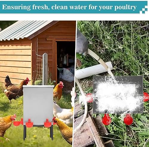 3 Gallons Chicken Waterer,Stainless Steels Automatic Chicken Waterer with Latch and Bottom Bracket，Poultry Watering 4 Water Cups Chicken Feeder Waterer and 4 Horizontal Automatic Chicken Nipples