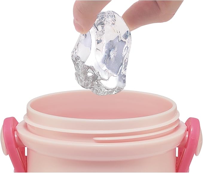 Skater My Melody Plastic Water Bottle with Strap 16.23oz -Friends