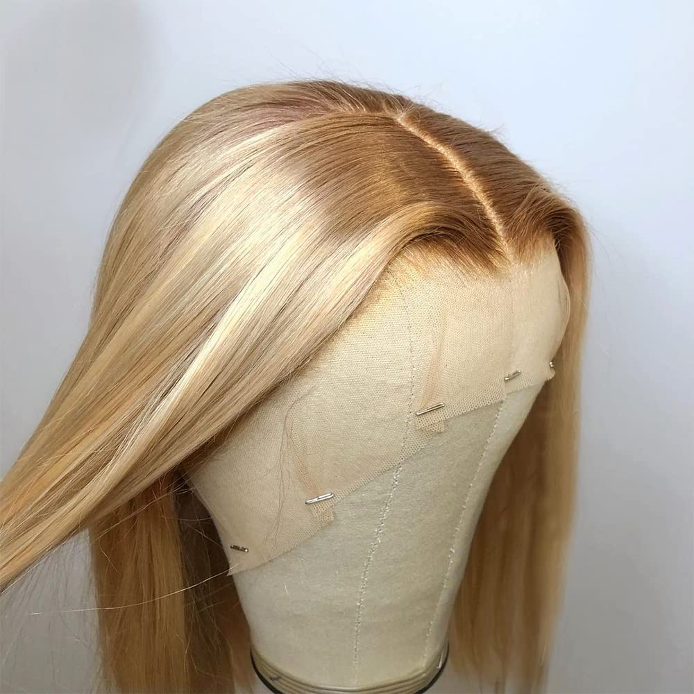 ANDRIA Lace Front Wigs Straight Hair Glueless Lace Wigs Synthetic Long Silk Straight Natural Wig Heat Resistant Fiber Ombre Dirty Blonde Colorful Wig With Baby Hair For Black Women 24 Inches