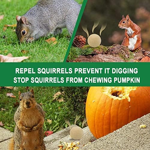 Squirrel Repellent Outdoor, Chipmunk Repellent, Squirrel Repallent for Garden & Yard, Attic Squirrels Deterrent, Keep Chipmunk Away, Get Rid of Squirrels for Tree, Bird Feeders, Plant-12P