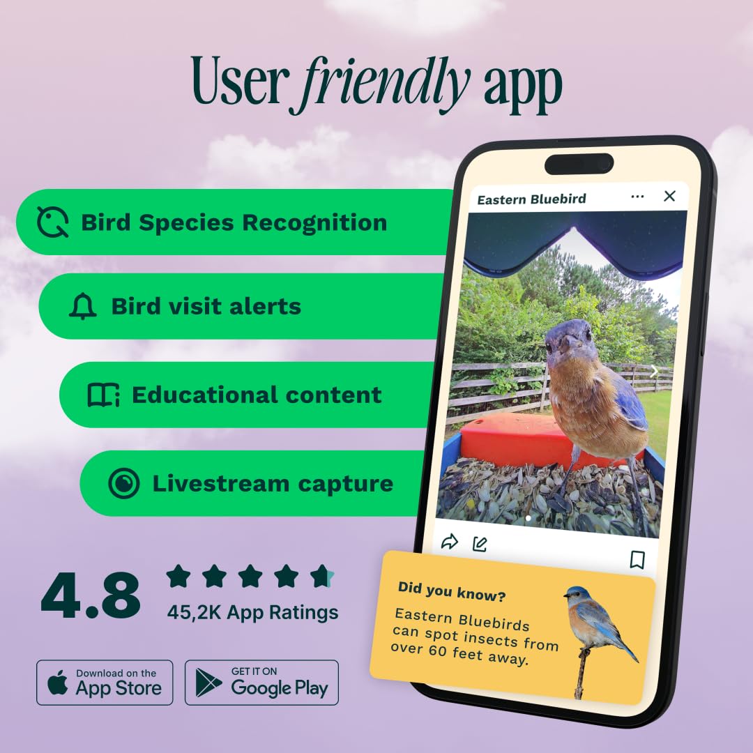 Bird Buddy PRO Solar Smart Bird Feeder with Camera - AI Bird Species Identification, 5MP Photos, 2K HD Video Live Stream Camera, Slow-Motion Video, 2.6in Focus - Blue Solar