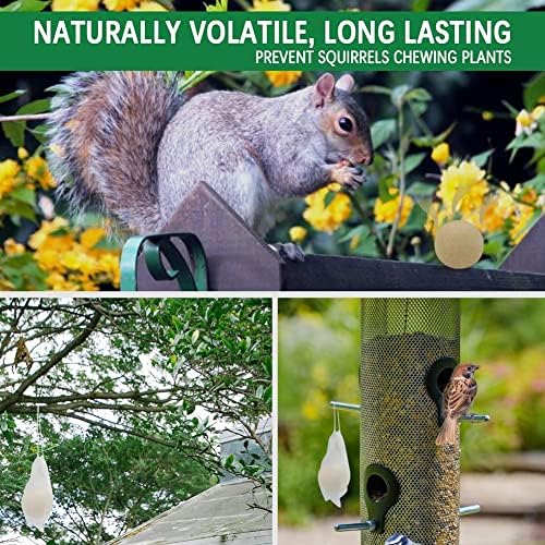 Squirrel Repellent Outdoor, Chipmunk Repellent, Squirrel Repallent for Garden & Yard, Attic Squirrels Deterrent, Keep Chipmunk Away, Get Rid of Squirrels for Tree, Bird Feeders, Plant-12P