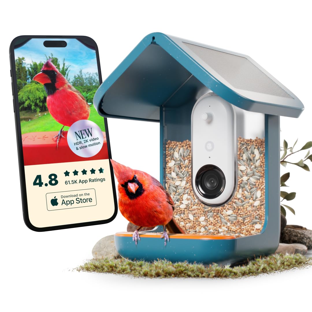 Bird Buddy PRO Solar Smart Bird Feeder with Camera - AI Bird Species Identification, 5MP Photos, 2K HD Video Live Stream Camera, Slow-Motion Video, 2.6in Focus - Blue Solar