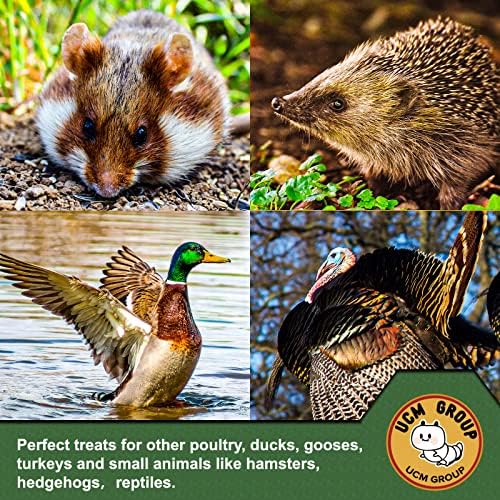 UCM Group 5LB Dried mealworms for Wild Birds, Chickens, High Protein Organic Chicken Feed, 100% Non-GMO for Chickens, Ducks, Turtles and Reptiles