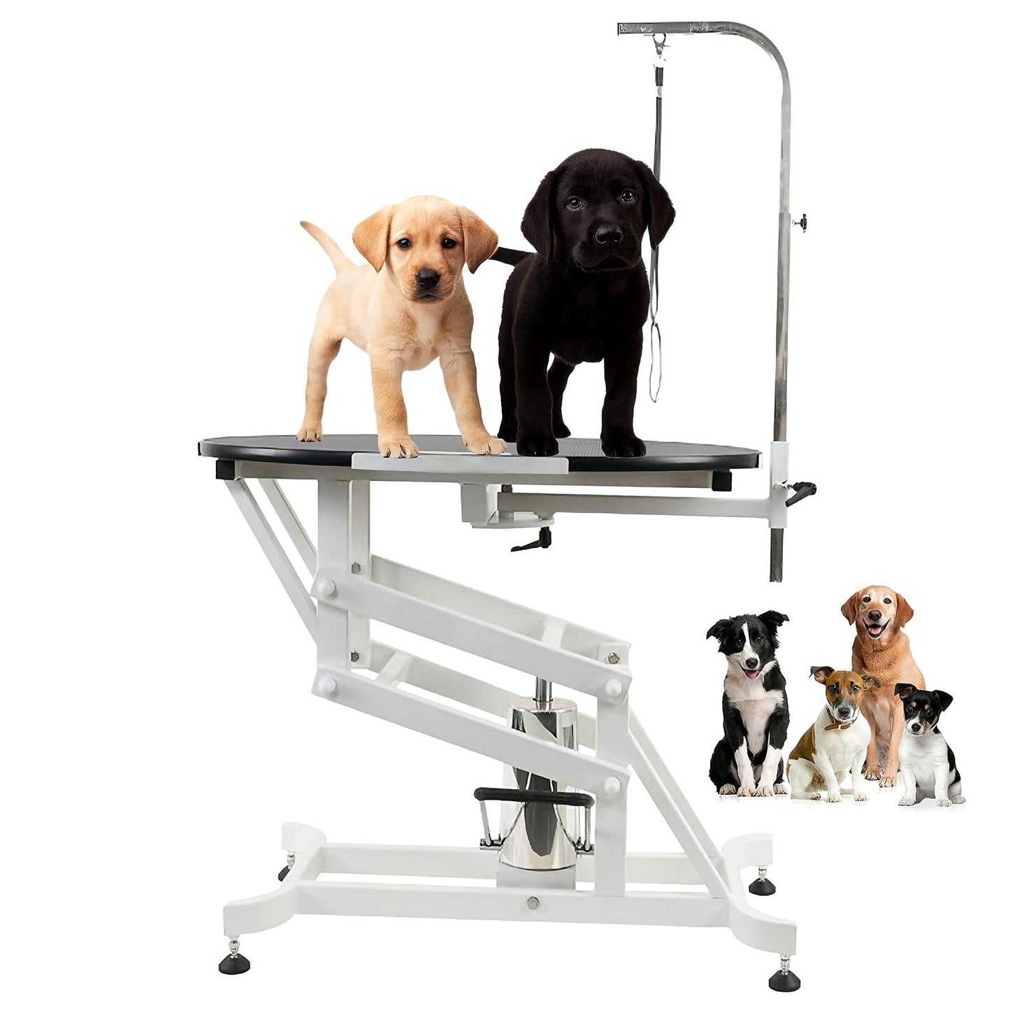 Professional Dog Grooming Table Hydraulic Height Adjustable pet Grooming Table with Adjustable Dog Grooming Arm Non-Slip Rubber Tabletop Dog Washing Station for Cat, Dog