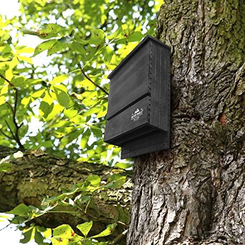 Bat House Outdoor Bat Habitat, Black All Natural Cedar Wood, 2 Chamber