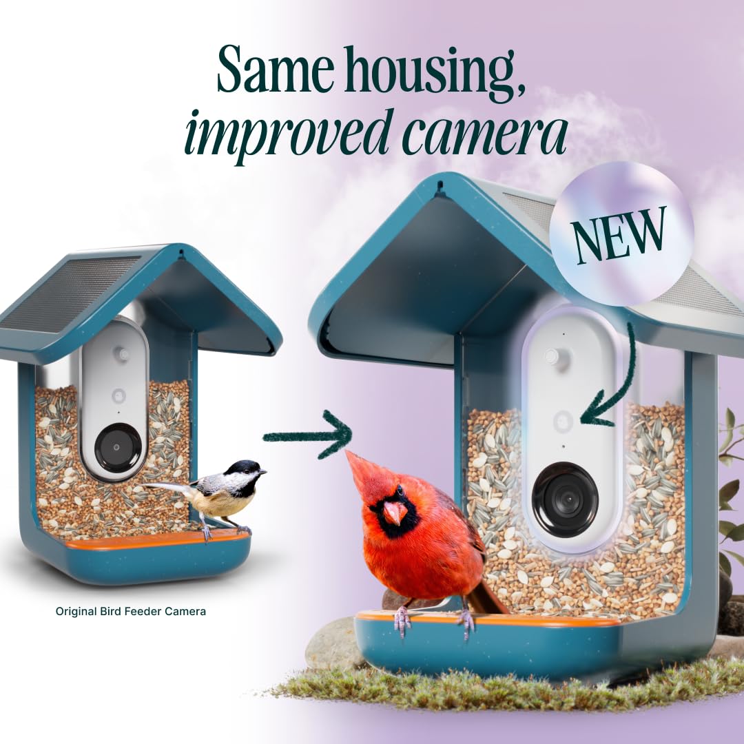 Bird Buddy PRO Solar Smart Bird Feeder with Camera - AI Bird Species Identification, 5MP Photos, 2K HD Video Live Stream Camera, Slow-Motion Video, 2.6in Focus - Blue Solar