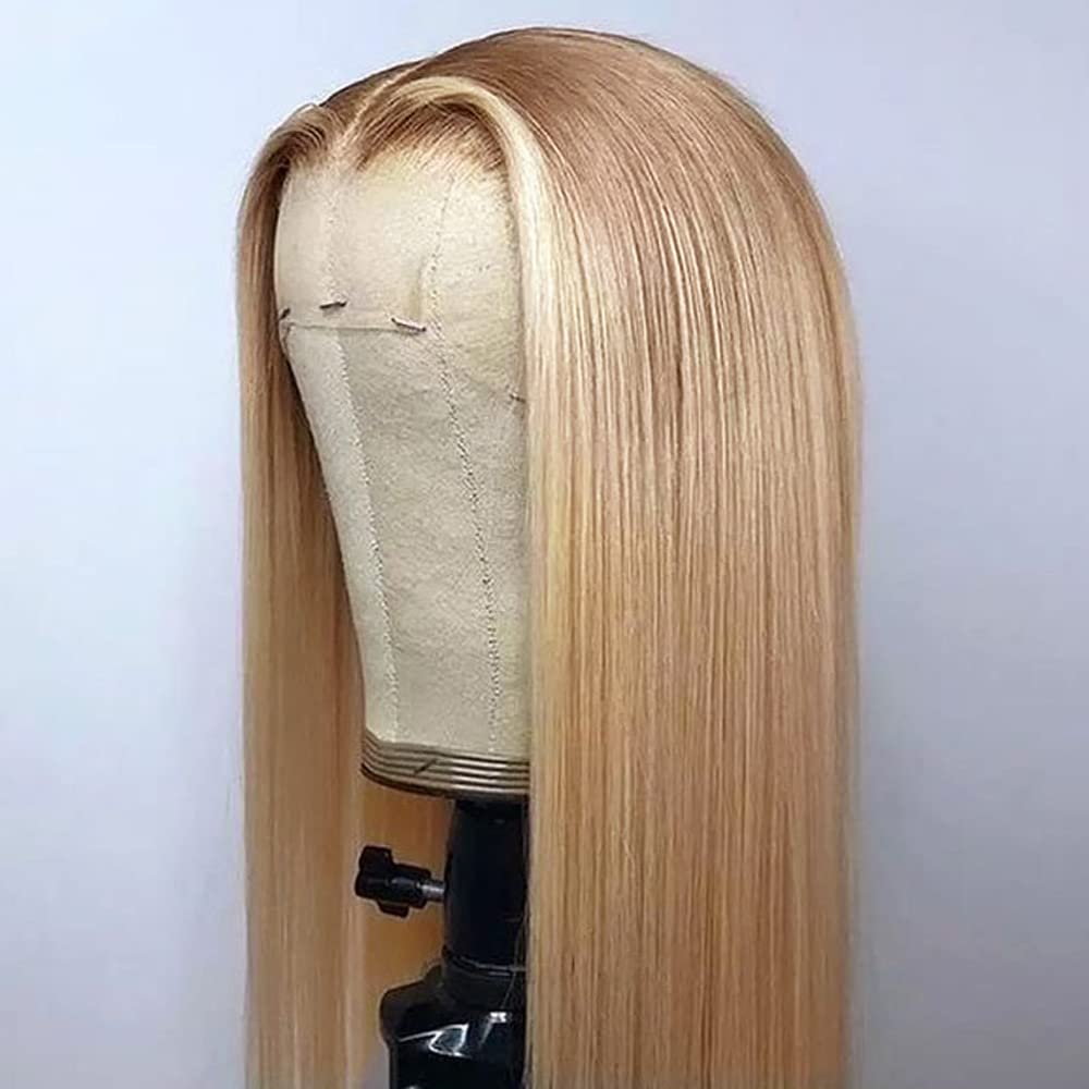 ANDRIA Lace Front Wigs Straight Hair Glueless Lace Wigs Synthetic Long Silk Straight Natural Wig Heat Resistant Fiber Ombre Dirty Blonde Colorful Wig With Baby Hair For Black Women 24 Inches