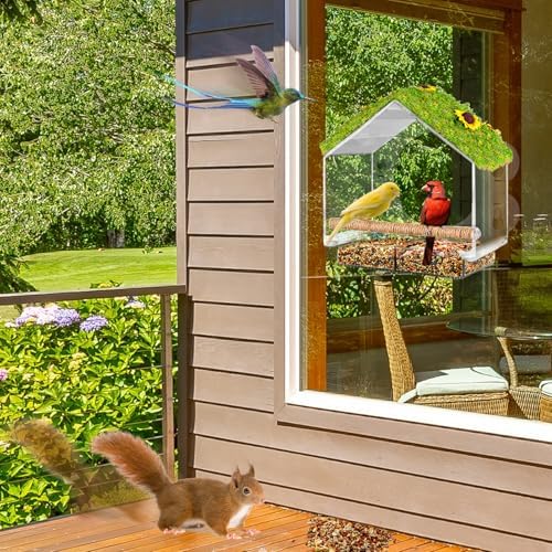 Clear Window Bird Feeder with 4 Strong Suction Cups & Decorative Lawn Top - Ideal for Garden/Yard Decor, Elderly & Kids Bird Watching, Unique Gift for Nature Lovers