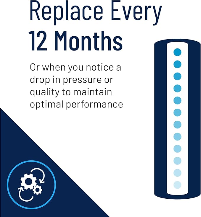 Pentair Pentek GAC-20BB Big Blue Carbon Water Filter, 20-Inch, Whole House Heavy Duty Granular Activated Carbon (GAC) Replacement Cartridge, 20" x 4.5", Pack of 4