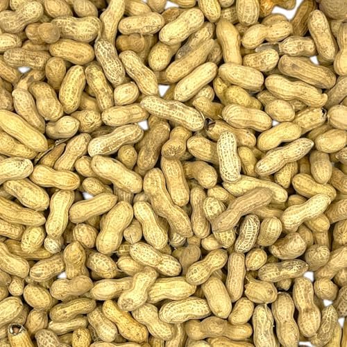 Premium Quality Raw Peanuts in Shell - 10 Pounds – All-Natural Food for Squirrels, Deer, Birds, and Other Wildlife Animals – Grown in The USA for Healthy Nutrition