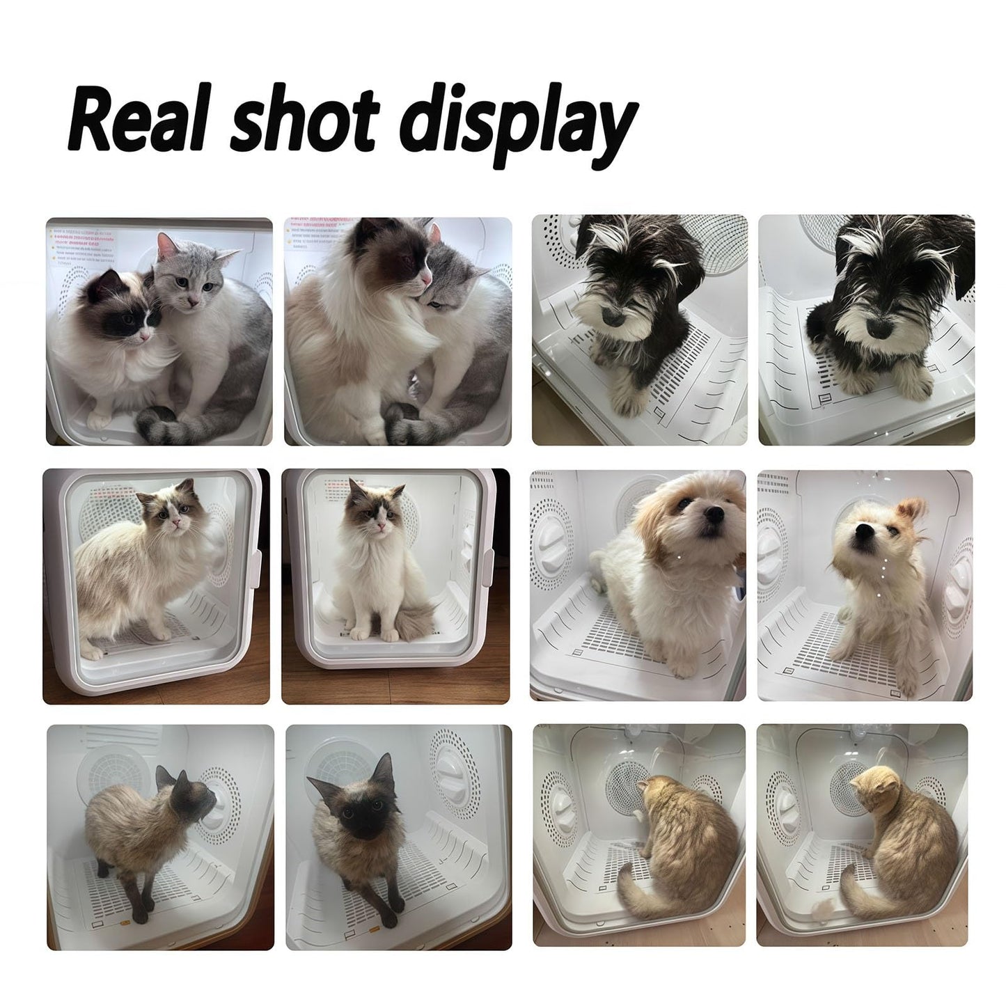 Low Noise 35dB Pet Dryer Machine for Dogs and Cats, Removable Soothing Window and Filter, Ionic Hair Dryer for Grooming