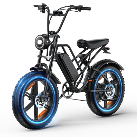 E500 Electric Bike for Adults 1000W Peak Motor, 20" Fat Tire Electric Bicycles with 40 Miles PAS Range, 7 Speed E-Bike with 48V Removable Battery, Dirt Ebike for Mountains, Sand, Road, Beach, Snow