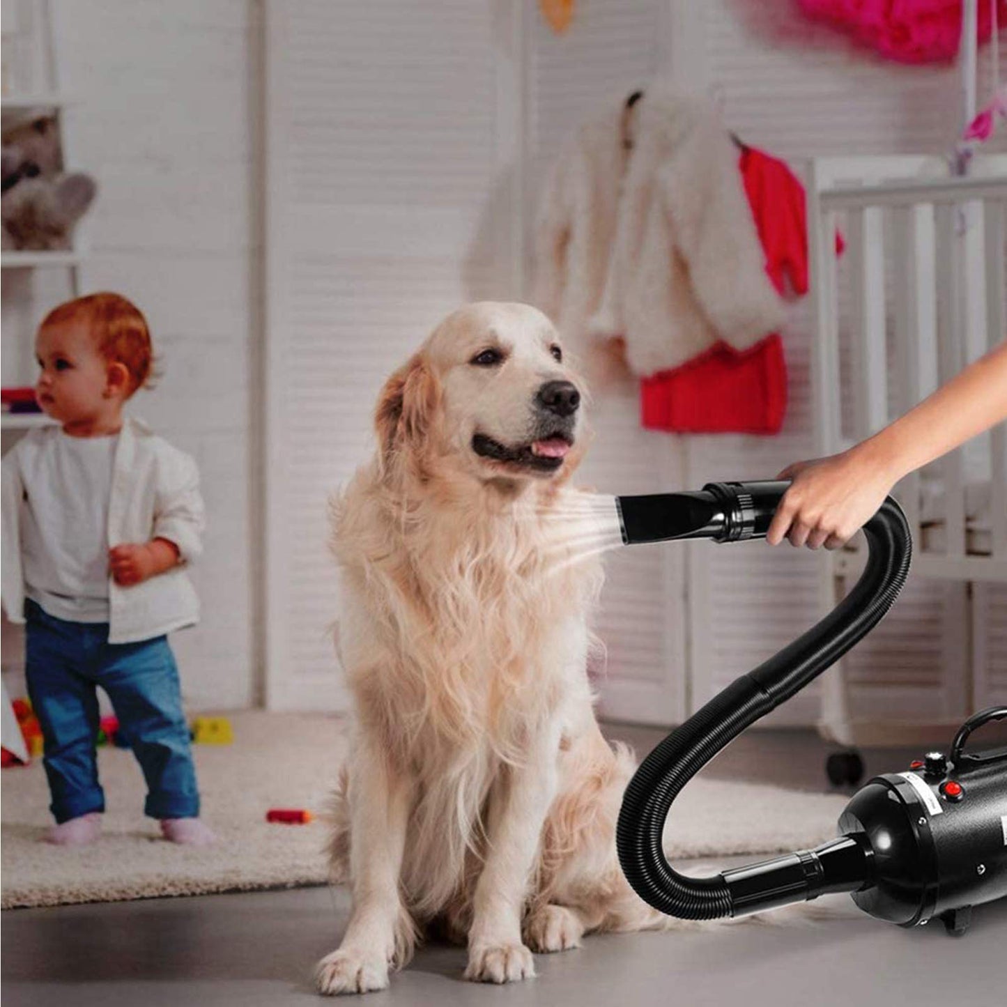 PJDDP 2400W Dog Hair Dryer Blaster Pet Grooming Hair Dryer High Velocity Motorbike Dryer with Adjustable Temperature for Dogs & Cats,with 2.3M Flexible Hose and 3 Nozzles,A Comb and A Glove,White