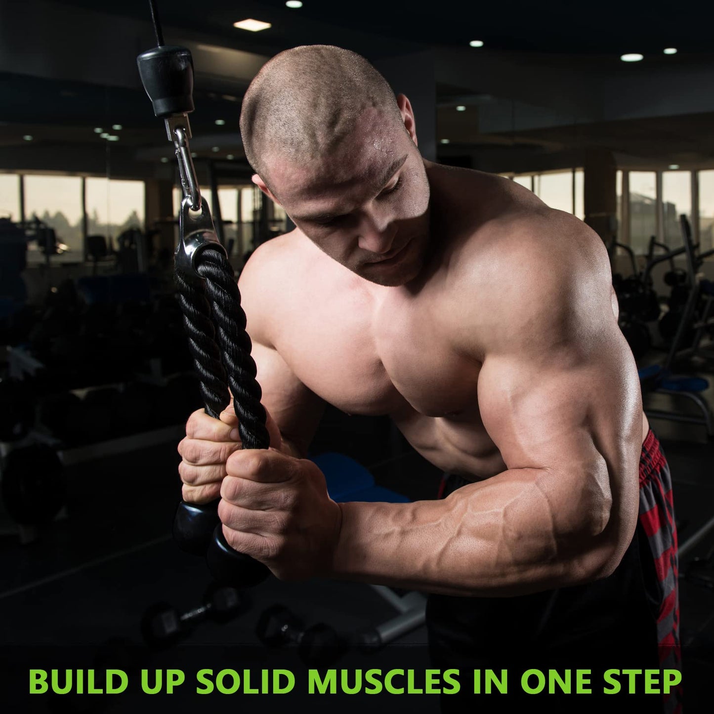 Cable Attachments for Gym Set Tricep Pull Down Rope and Double D Row Handle and V Bar and Rotating Straight Bar with 2pcs 304 Stainless Steel Carabiner
