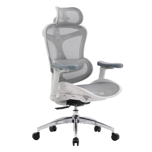 SIHOO Doro C300 Ergonomic Office Chair with 3D Armrests, Dynamic Lumbar Support, and Seat Depth Adjustment for Home Office (Grey)