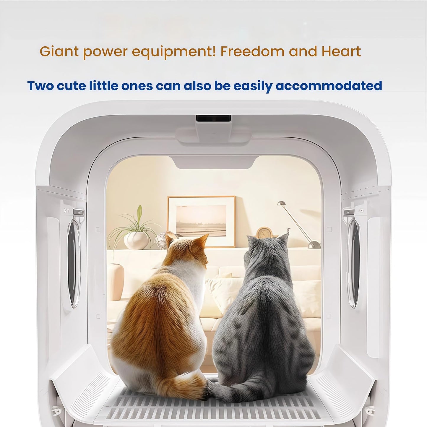 WENMEE Pet Dryer Box for Dogs&Cats,Low Noise Grooming Dryer Machine with Toughened Glass&Touch Panel