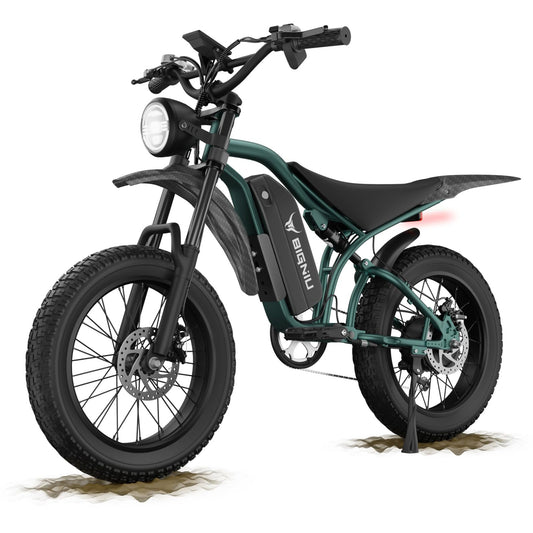 BG-S Electric Bike for Adults – 20"x4.5" Fat Tire, 1200W Motor, 48V 15Ah Battery, 7-Speed, Dual Disc Brakes for Off-Road and City Riding (Olive Green)