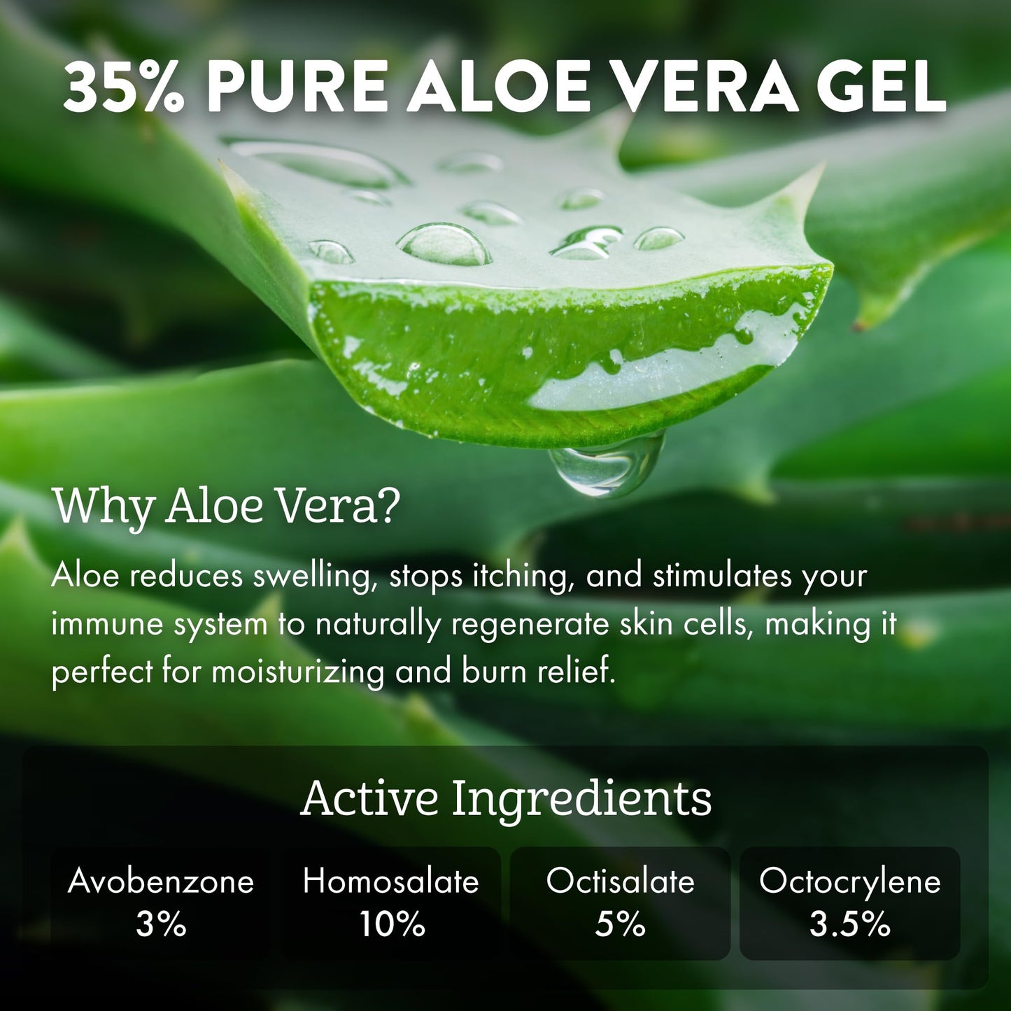 Aloe Up Sport Sunscreen Lotion SPF 30 - Broad Spectrum UVA/UVB Sunscreen Protector for Face and Body With Hydrating Aloe Vera Gel Non-Greasy No White Cast Reef Safe Fragrance-Free - 32 Oz.