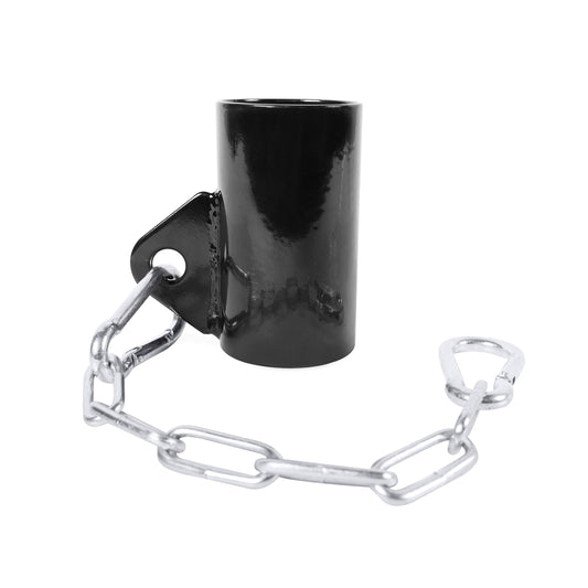 CAP Barbell Eyelet with Chain Attachment, Fits 2 Inch Bars
