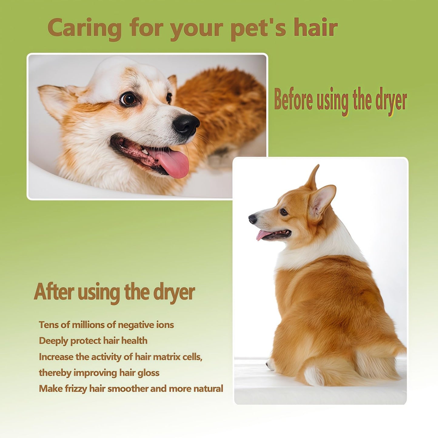 WENMEE Automatic Pet Dryer Box(for Dogs) - Fast and Quiet Drying, Ionic Care, Suitable for Small and Medium Pets, 72L