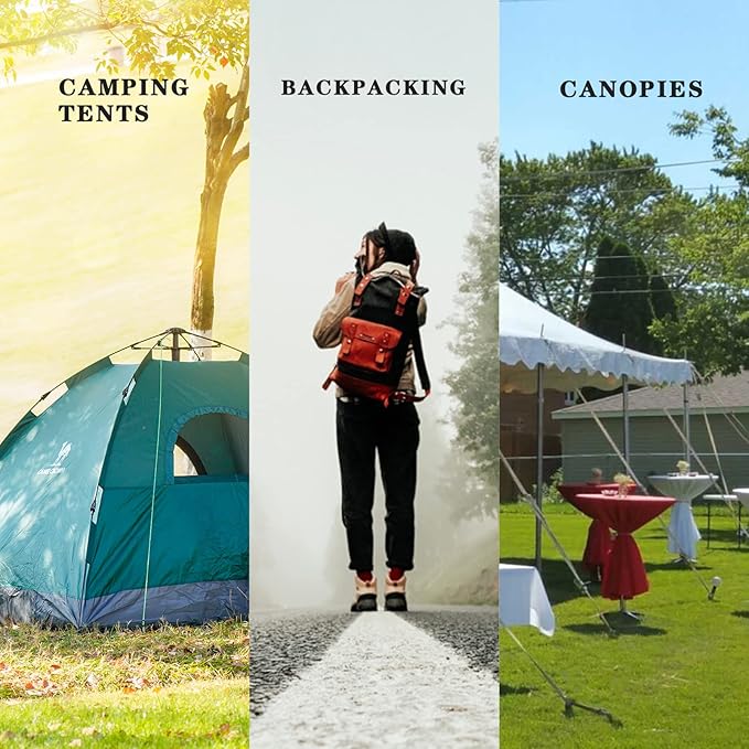 10 inch Tent Stakes,Metal Heavy Duty Camping Stakes for Outdoor Canopy and tarp ,10 Pack with Portable Bag