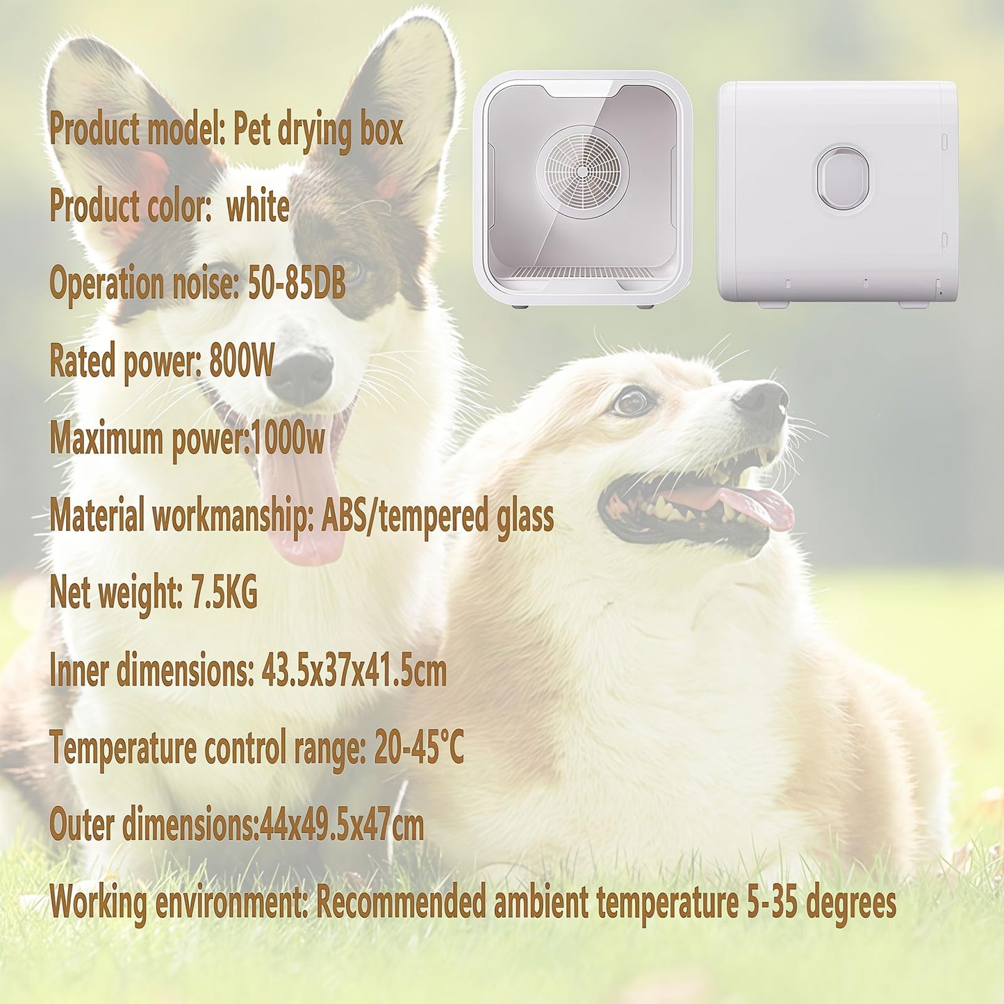 WENMEE Automatic Pet Dryer Box(for Dogs) - Fast and Quiet Drying, Ionic Care, Suitable for Small and Medium Pets, 72L
