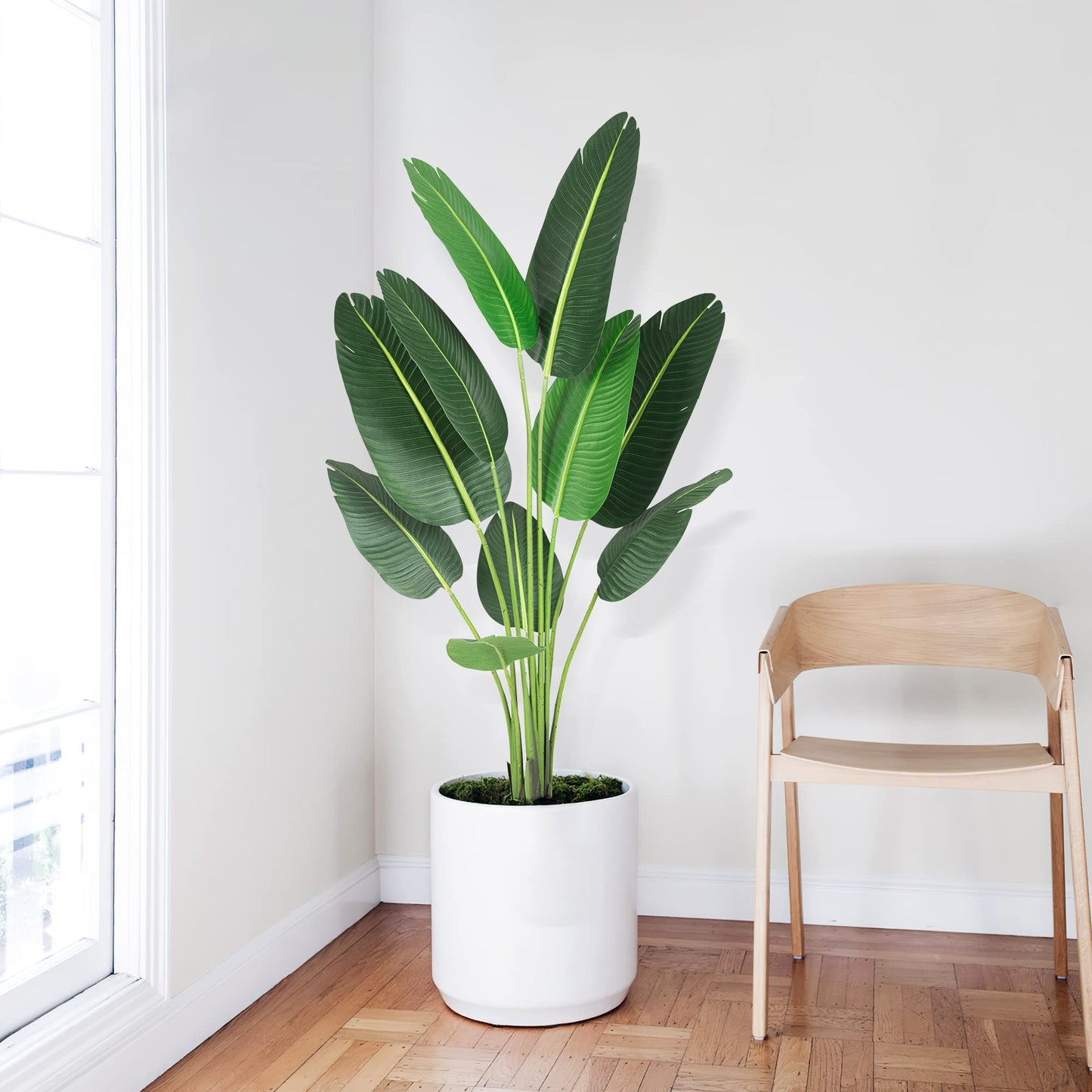 Amyove [ 2Pack ] 60 inchs Artificial Tree Bird of Paradise with 10Trunks, 5 Feet Faux Plant Fake Banana Tree Plant with Pot for Home, Decor, Indoor, Outdoor, Living Room, Office