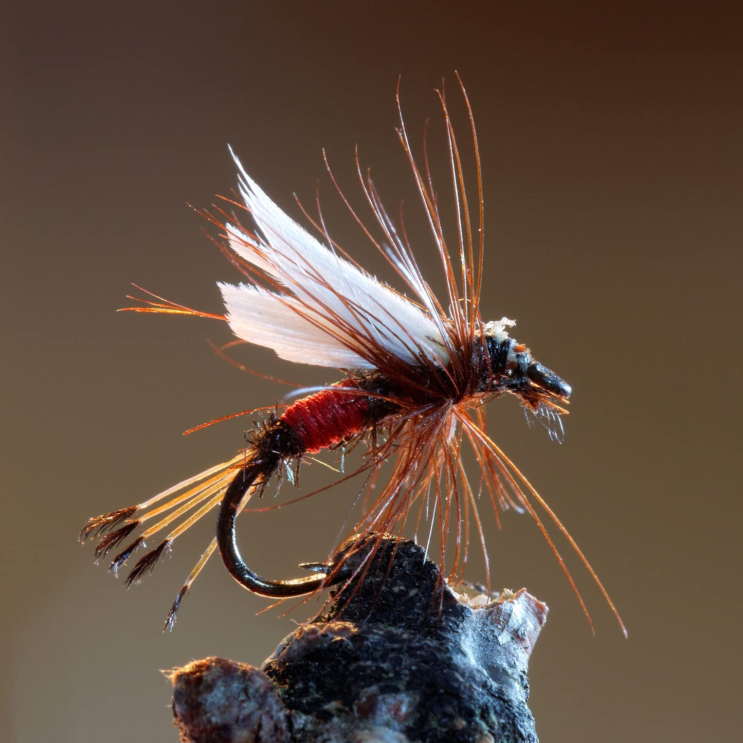 Goture Fly Fishing Flies Kit - 30pcs Lures - Fly Fishing Assortment Kit for Bass Trout Salmon Fishing - Dry Flies Wet Flies Streamers Nymphs