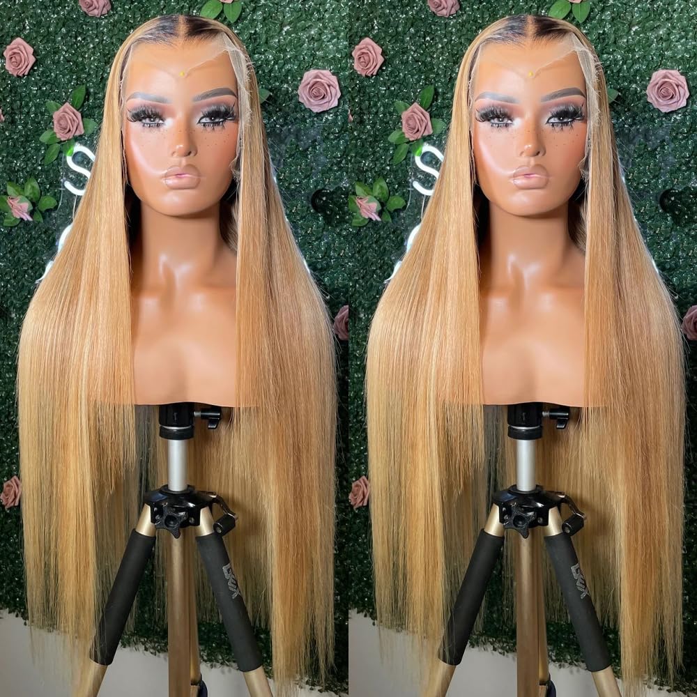 ANDRIA 13x4 HD Lace Front Wigs 200% Density Honey Blonde Straight Glueless Lace Frontal Wigs ombre Ash Blonde Wig for Black Women Synthetic Heat Resistant Hair Wig With Baby Hair Pre Plucked 28 Inch