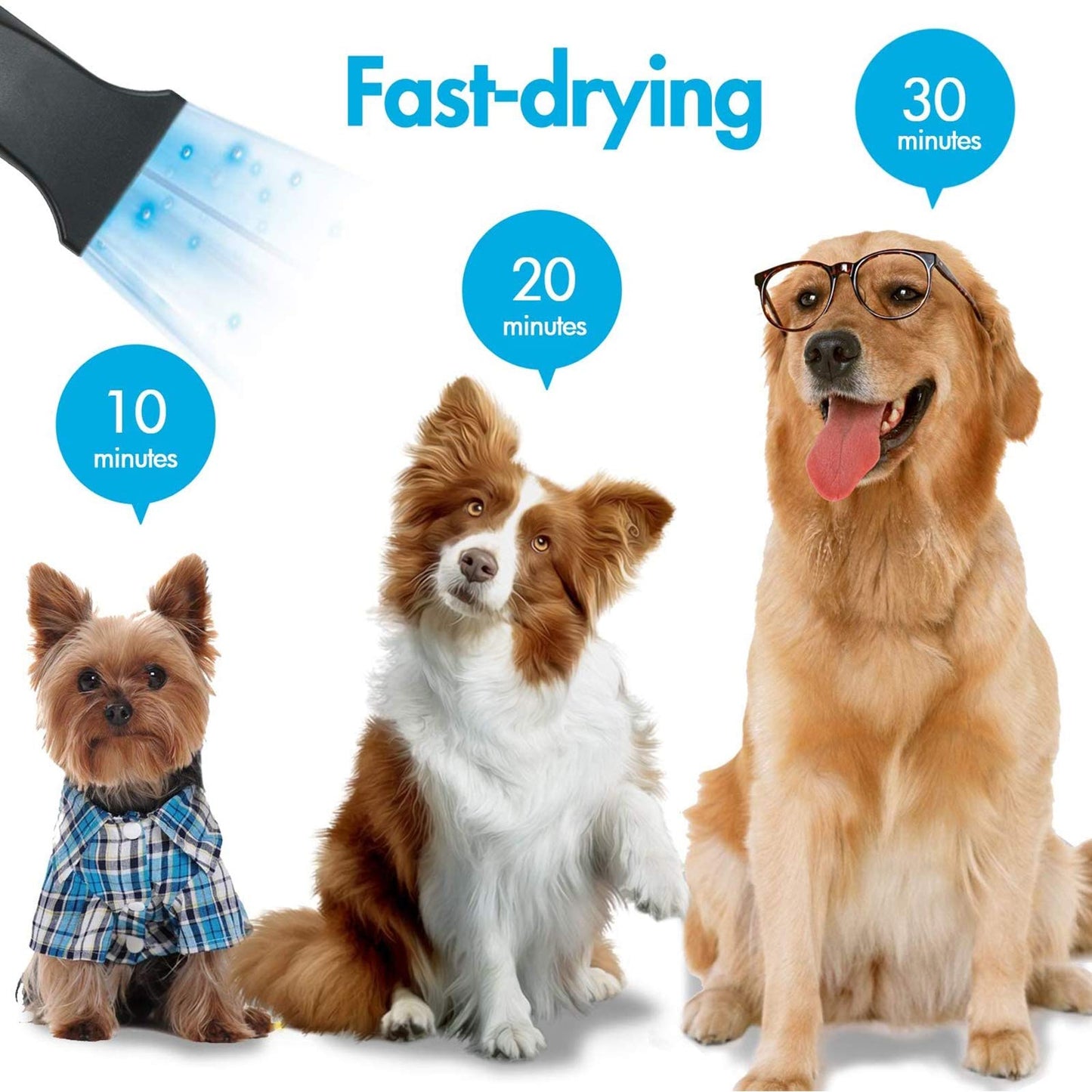 PJDDP 2400W Dog Hair Dryer Blaster Pet Grooming Hair Dryer High Velocity Motorbike Dryer with Adjustable Temperature for Dogs & Cats,with 2.3M Flexible Hose and 3 Nozzles,A Comb and A Glove,White