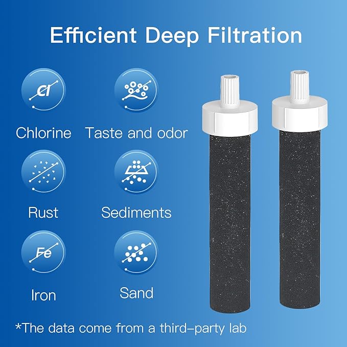 Water Bottle Filter, Replacement for Brita® BB06, Brita® Hard Sided, Stainless Steel and Plastic Bottle Filter, Reduces Chlorine, BPA-Free, Last Up to 2 Months or 40 Gallons (Pack of 2)