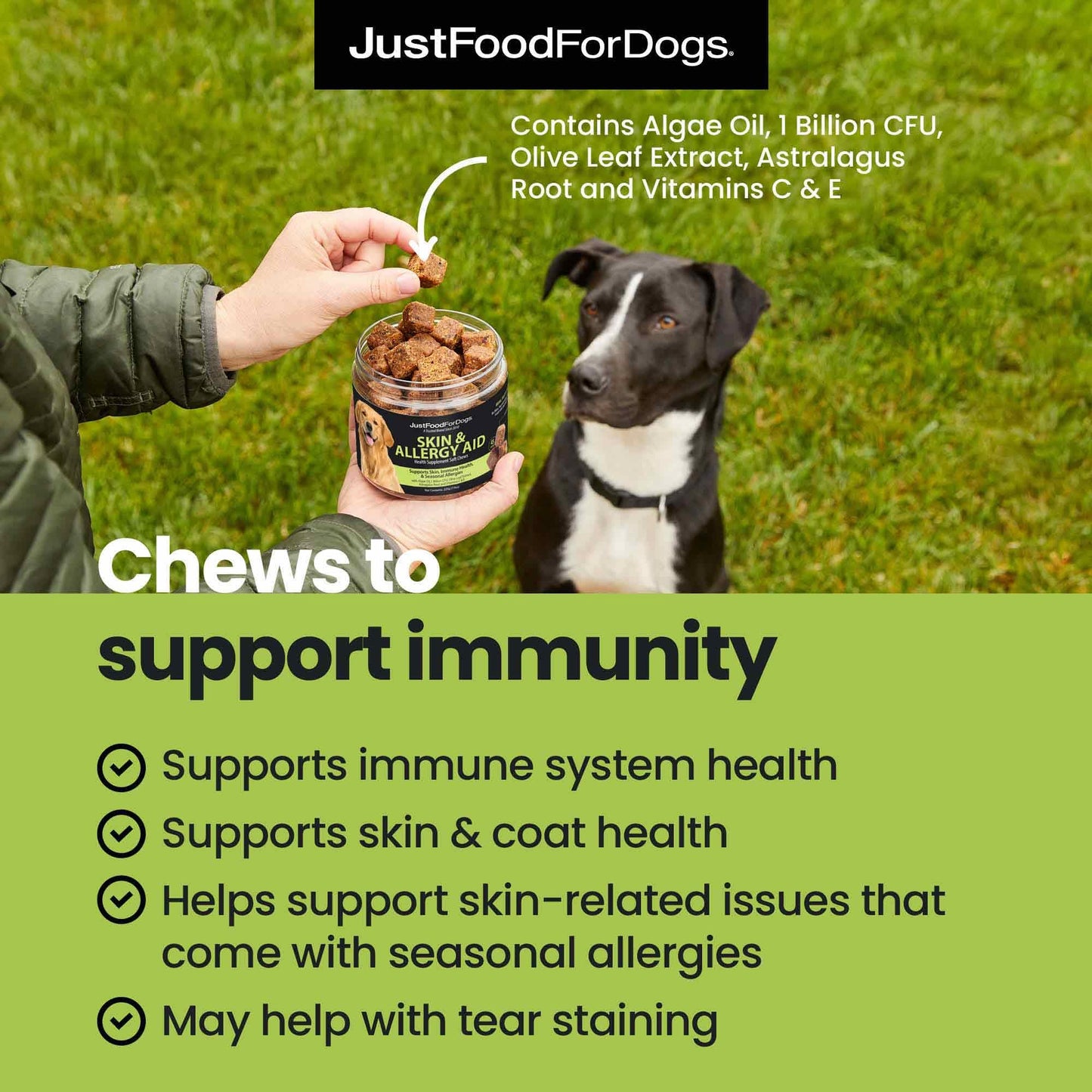 JustFoodForDogs Skin & Allergy Care Soft Chews Supplement for Dogs, Seasonal Allergies, Itchy Skin Relief, Inflammation, Immune Support - 45 Count