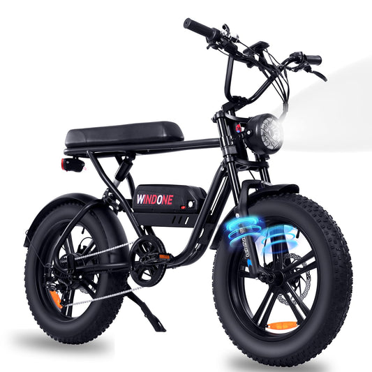 Windone K2 Electric Bike for Adult,Ebike for Adults with 750W Power Motor,48V13Ah UL Certified Battery,All Terrain 20" Fat Tire Electric Bike Up to 28MPH&46.6Miles Range with Double Seat,Urban E-Bike