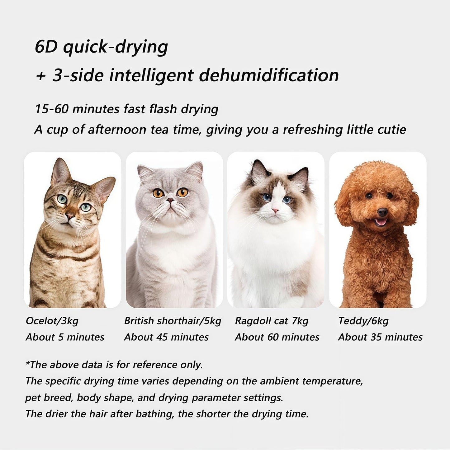 WENMEE Ultra Quiet Pet Dryer Box for Cats - Low Noise Electric Blower with Towel, Brush & Grooming Accessories