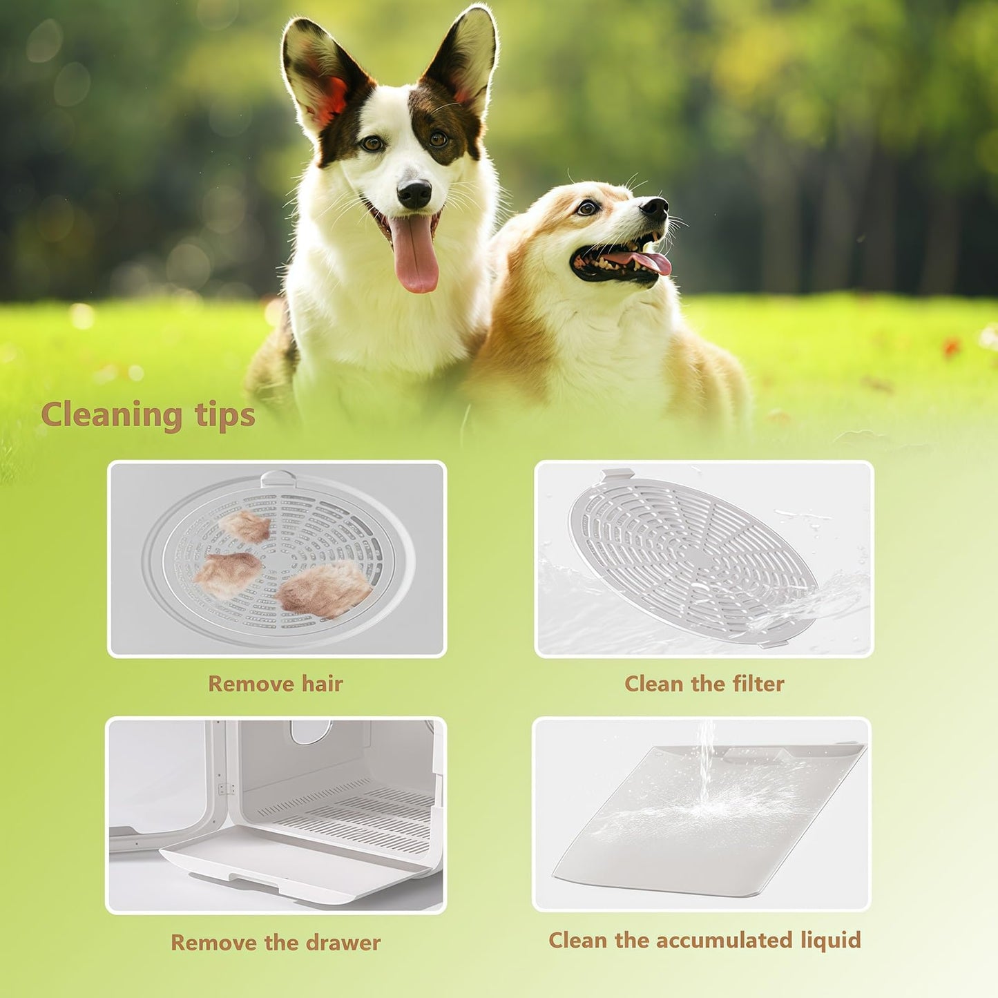 WENMEE Automatic Pet Dryer Box(for Dogs) - Fast and Quiet Drying, Ionic Care, Suitable for Small and Medium Pets, 72L