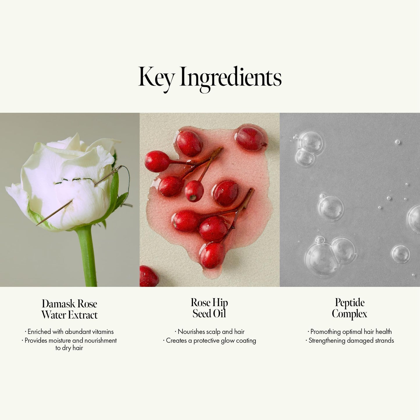 ANILLO Rosy Night Repair Hair Essence with Damask Rose Extract, Rosehip Oil, Peptide Complex for Dry, Damaged, Frizzy Hair - Musky Floral Scent, Vegan, Paraben-Free 50ml / 1.69 fl. Oz