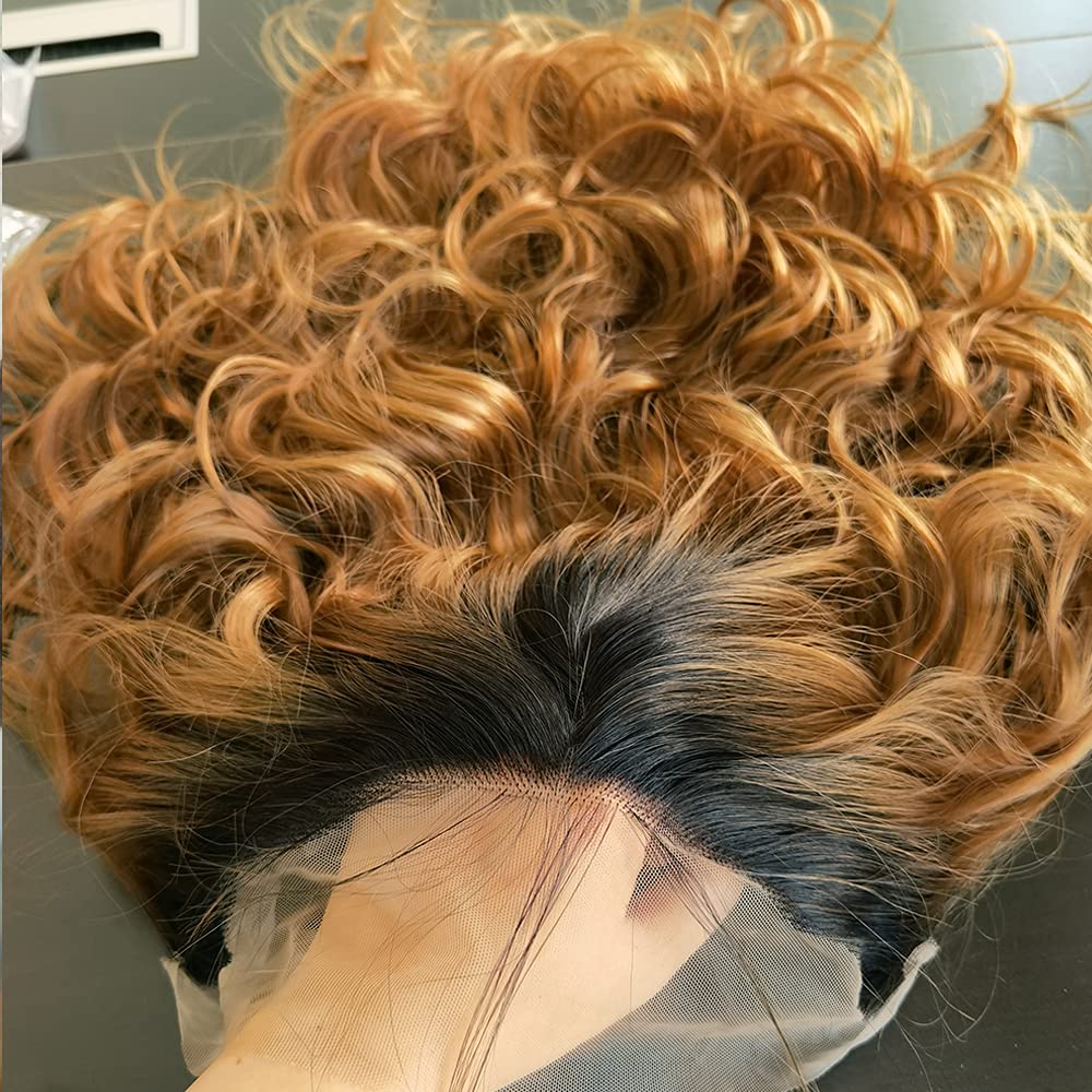 ANDRIA lace front wigs Honey Blonde Glueless Lace Wig Long Loose Wave Synthetic Heat Resistant Fiber Wig With Baby Hair Long Wavy Colorful Ombre blonde brown Colored lace front wig for Black Women