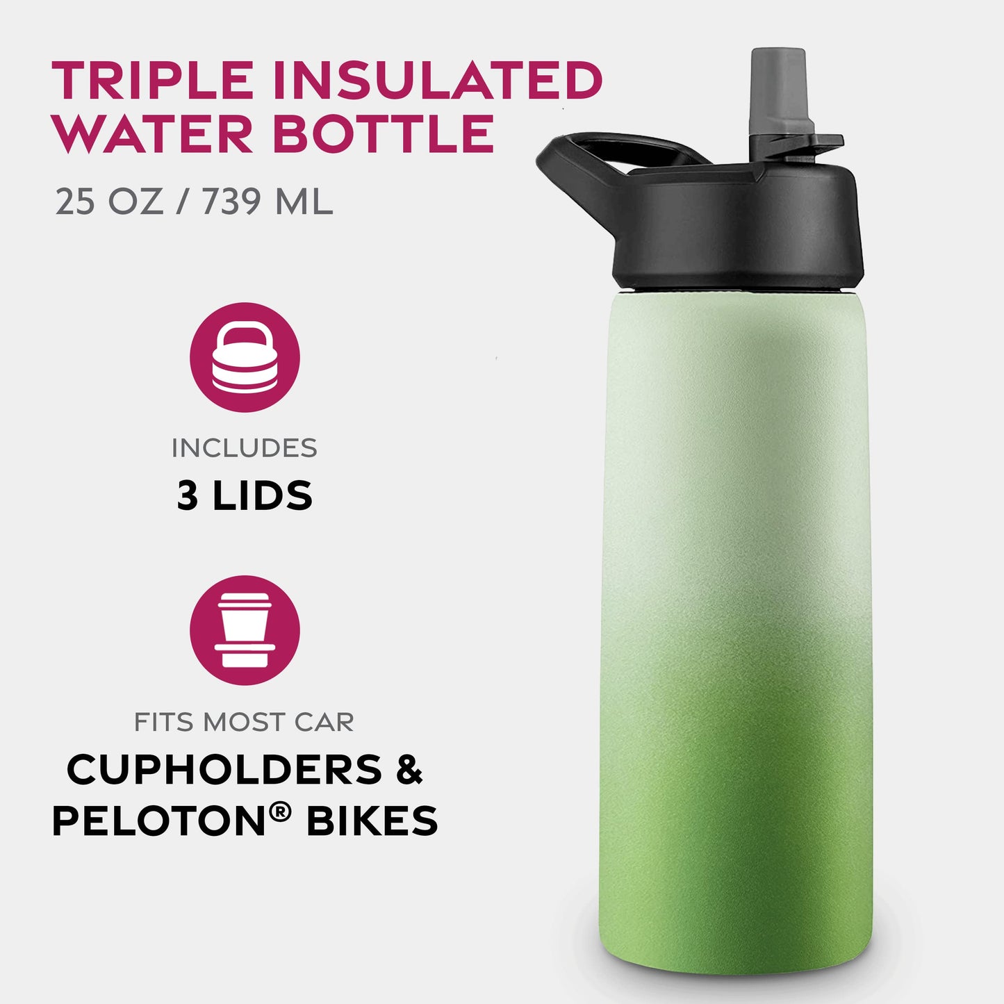 FineDine Triple Walled, Insulated Water Bottles with Straw - 25 Oz Stainless Steel Metal Bottle W/ 3 Leak Proof Lids - For Travel, School, Sports, Gym / Men, Women & Kids - Dreamy Green