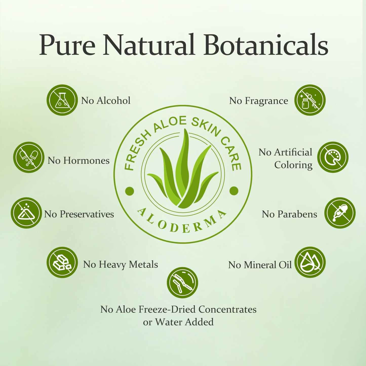 Aloderma Organic Aloe Vera Gel for Skin + Tea Tree Oil, Made within 12 Hours of Harvest, Soothing Pure Aloe Vera Gel for Face, Works Great for Scalp & Aftershave, All Natural Aloe Gel - 300ml x 2btls