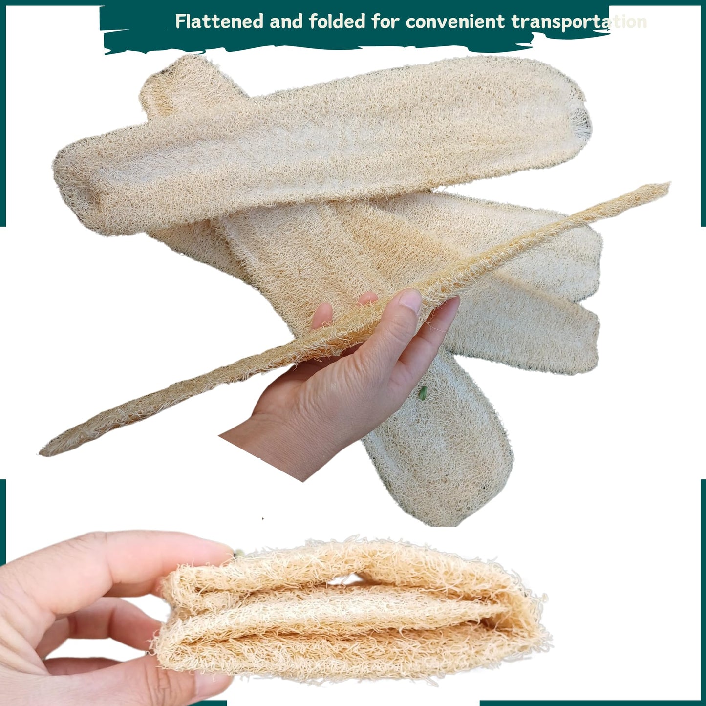 10 Pcs (7 – 10 Inches) Natural Loofah Sponge | Organic Loofah | Shower Loofah Exfoliating Body Scrubber | Bath for Loofah for Men and Women | (10 - Pack)